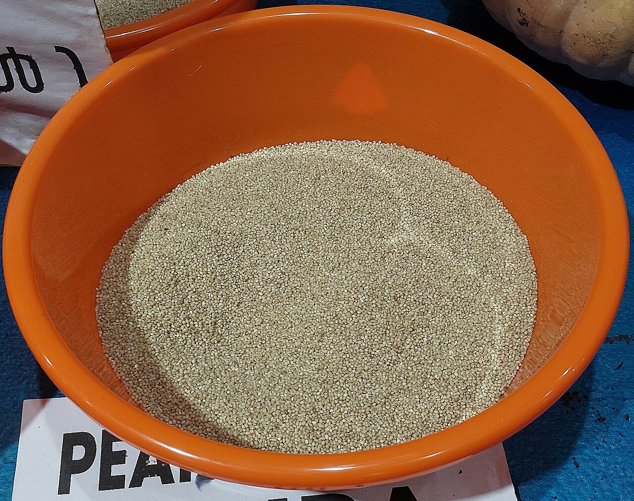 Bajra (Pearl Millet)