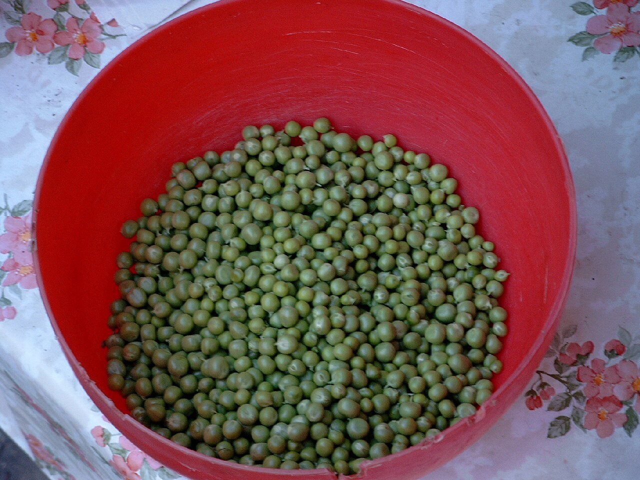 Dehydrated Green Peas